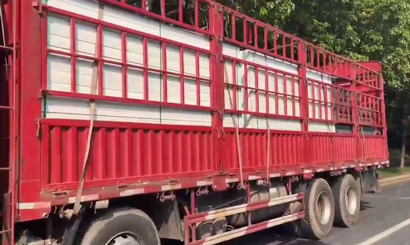 旭東PVC圍擋批發(fā)直供龍崗工地，2500米圍擋當(dāng)天閃電送達(dá)
